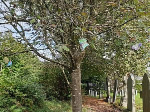 Butterflies hanging from tree in the church yard